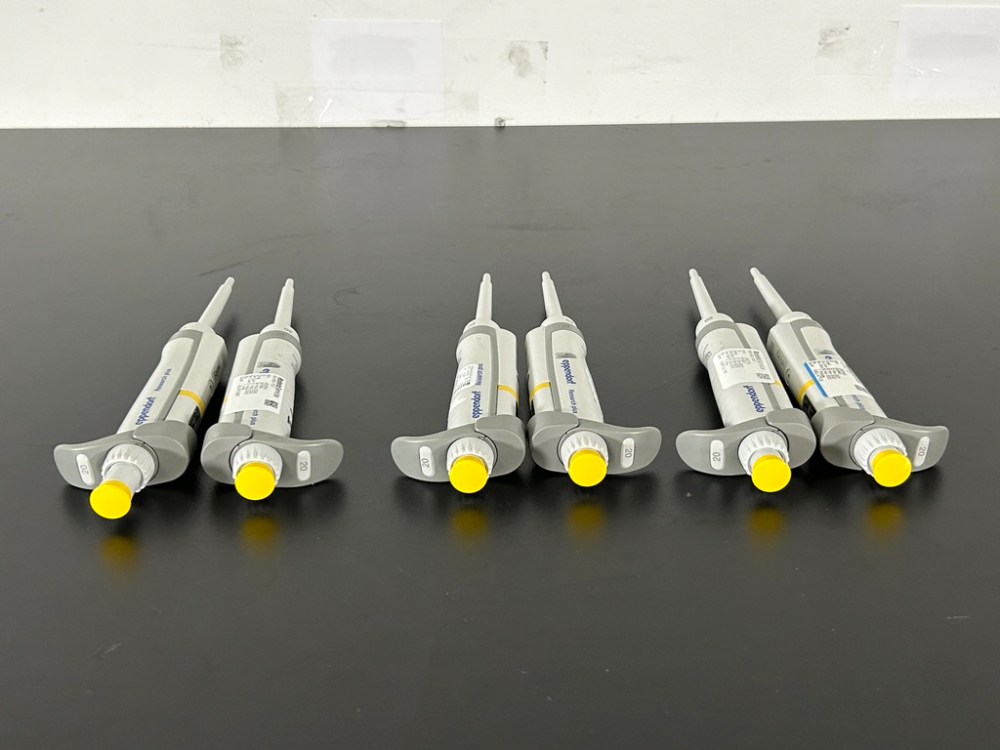 Image of Eppendorf Research Plus Single Channel Pipettes - Quantity 6